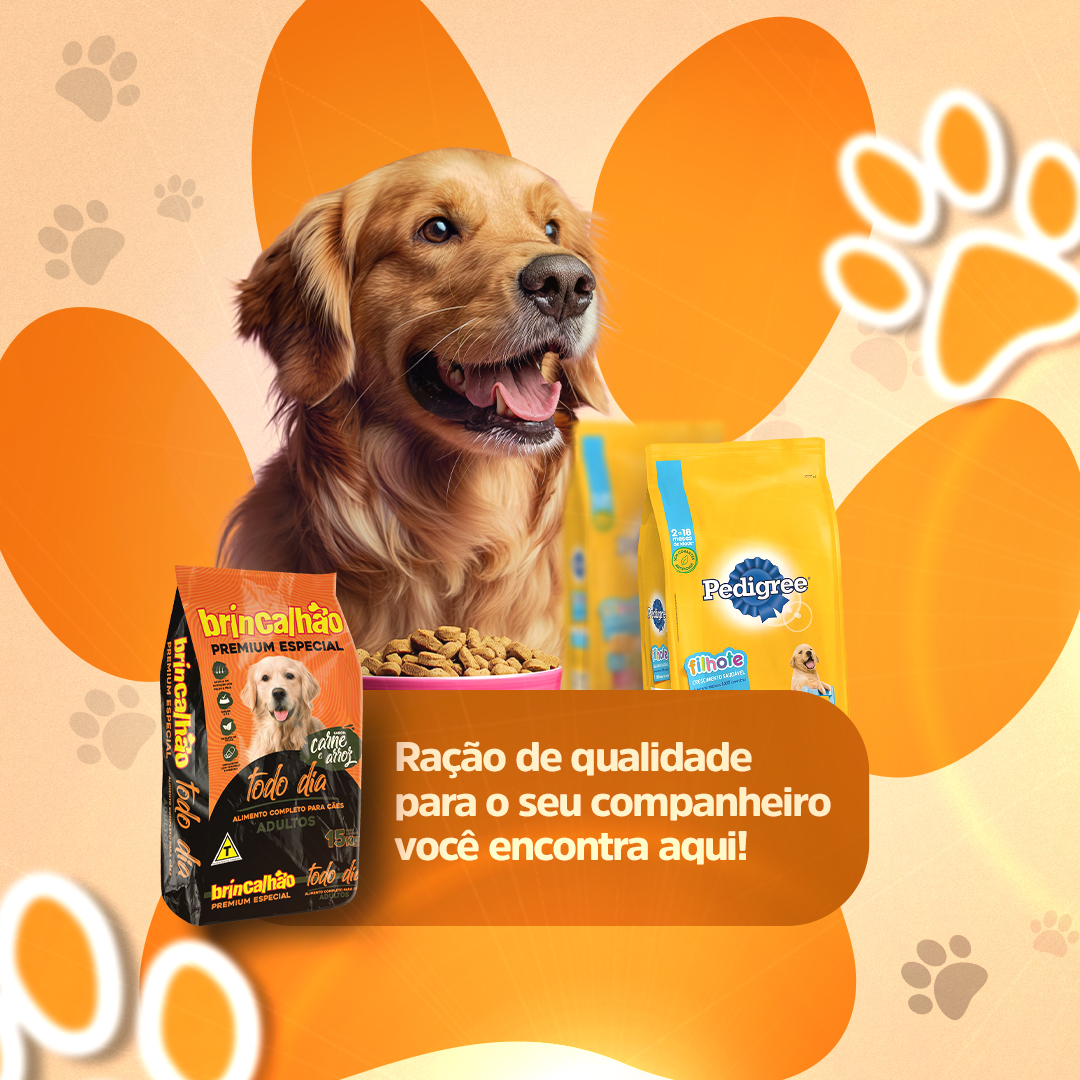 Pet Shop Social Media PSD Editável 